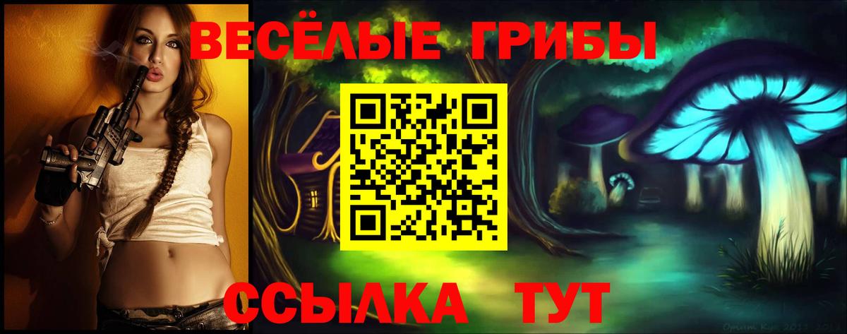 Псилоцибиновые грибы MAGIC MUSHROOMS  Псилоцибиновые грибы Magic Shrooms  Вход с VPN  Челябинск 